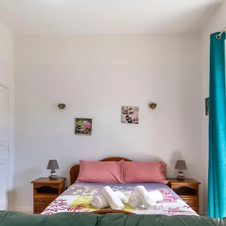 Pepin Le Bref Cour Privee Wifi Proche Arenes Holiday home Nimes