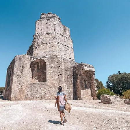 Pepin Le Bref Cour Privee Wifi Proche Arenes *